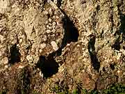 menhir de loueres saint-aubin des chateaux