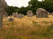 carnac allignement de kerlescan