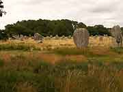 carnac allignement de kerlescan