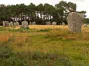 carnac allignement de kerlescan