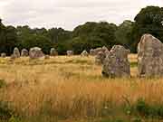 carnac allignement de kerlescan