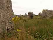 carnac alignements de kermario