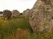 carnac alignements de kermario