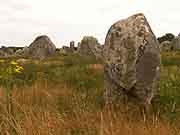 carnac alignements de kermario