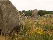 carnac alignements de kermario