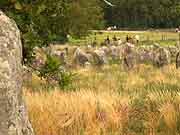 carnac alignements de kermario