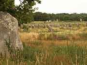 carnac alignements de kermario