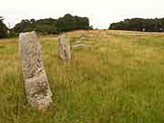 carnac alignements de kermario