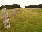 carnac alignements de kermario