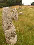 carnac alignements de kermario