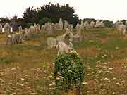 carnac alignements de kermario