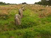 carnac alignements de kermario