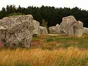 carnac alignements de kermario