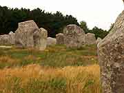 carnac alignements de kermario