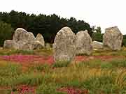 carnac alignements de kermario