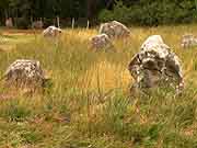 carnac alignements de kermario