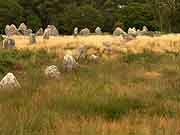 carnac alignements du menec a toul chignan