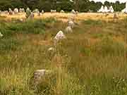 carnac alignements du menec a toul chignan