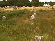 carnac alignements du menec a toul chignan