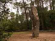 menhir le geant du manio carnac