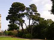 chateau de rohannec'h et son parc saint-brieuc