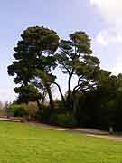 chateau de rohannec'h et son parc saint-brieuc