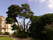 chateau de rohannec'h et son parc saint-brieuc