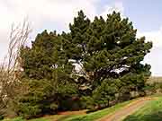 chateau de rohannec'h et son parc saint-brieuc