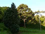 chateau de rohannec'h et son parc saint-brieuc
