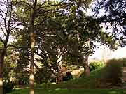chateau de rohannec'h et son parc saint-brieuc